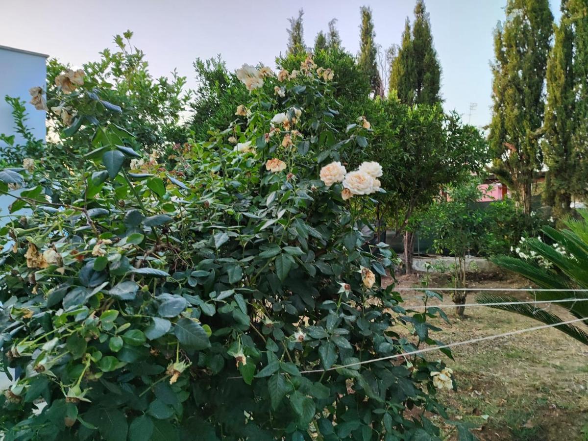 Filoxenia Di Umberto Guest House Sassari Exterior photo